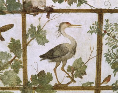 Ibis, from a Fresco of an Aviary in the Villa Medici, c.1576-77 by Jacopo Zucchi