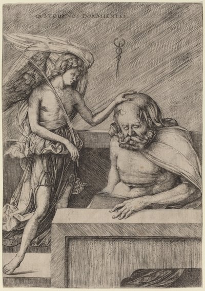 The Guardian Angel, c. 1509 by Jacopo de Barbari