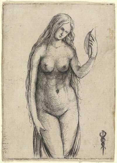 Nude Woman Holding a Mirror (Allegory of Vanitas) by Jacopo de