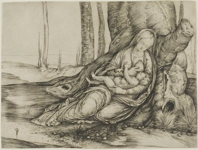 The Virgin and Child Reclining Against a Tree by Jacopo de