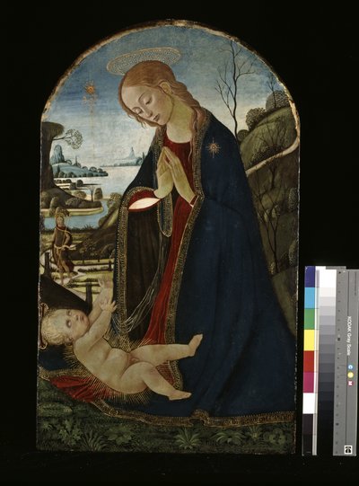Madonna Adoring The Christ Child by Jacopo del Sellaio