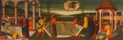 Pool of Bethesda by Jacopo del Sellaio