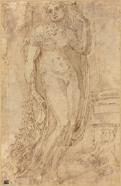 Allegorical Figure with a Cat and a Pig, c.1530 by Jacopo di Giovanni di Francesco
