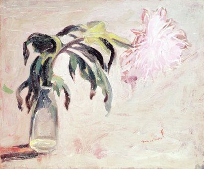 A Chrysanthemum in a Bottle by Jacqueline Marval