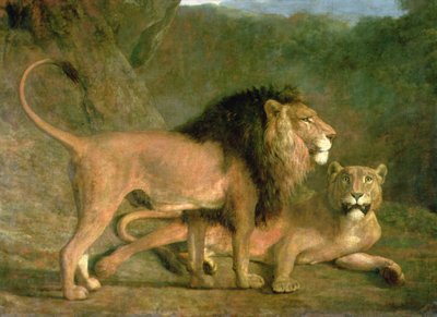 A Lion and a Lioness in a Rocky Valley by Jacques Laurent Agasse