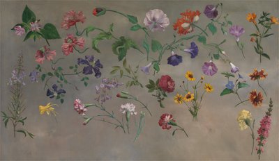 Studies of Flowers by Jacques-Laurent Agasse