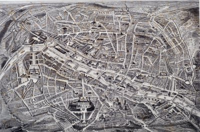 Map of Paris in relief and a bird