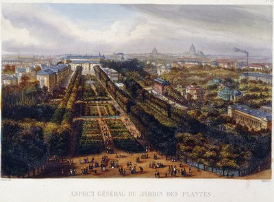 View of the Jardin des Plantes - lithography by Testard by Jacques Alphonse (after) Testard