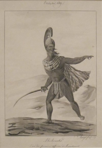 Aniheneho. One of the First Officers of Tahmahamah by Jacques Arago
