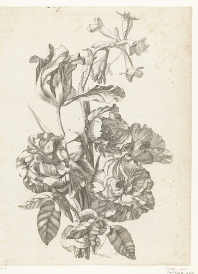 Bouquet with Peonies, a Tulip, and a Brodiaea (Diverses Fleurs mises en Boucquets) by Jacques Bailly (I)