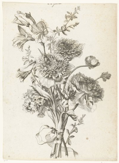 Bouquet of Anemones (Various Flowers Arranged in Bouquets) by Jacques Bailly (I)
