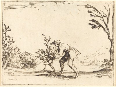 Man Cutting a Balm-Tree by Jacques Callot