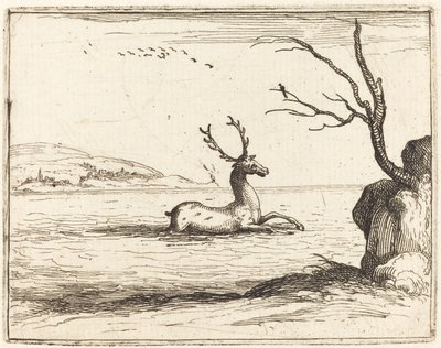 Stag in the Water by Jacques Callot