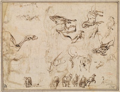 Studies of Horses by Jacques Callot after Antonio Tempesta