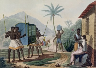A Palanquin being Carried in the Ile de France (from 