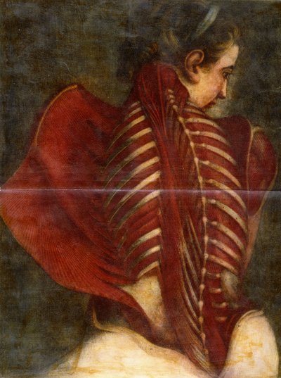The Flayed Angel by Jacques Fabien Gautier dAgoty