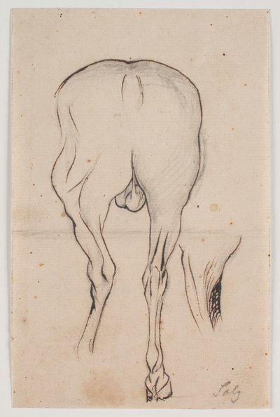 Horse Seen from Behind and a Horse Leg by Jacques Francois Joseph Saly