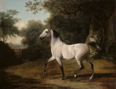 A grey Arab stallion in a wooded landscape by Jacques Laurent Agasse