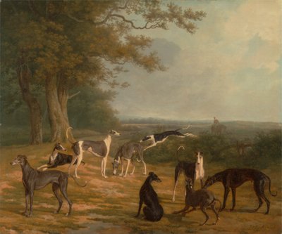 Nine Greyhounds in a Landscape by Jacques Laurent Agasse