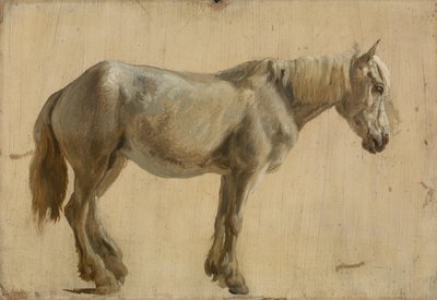 Study of a Grey Horse by Jacques Laurent Agasse