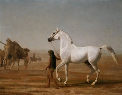 The Wellesley Grey Arabian Led through the Desert by Jacques Laurent Agasse