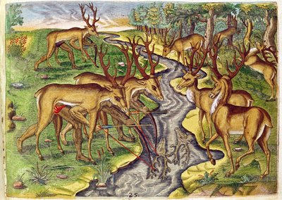 Stag Hunt, from 