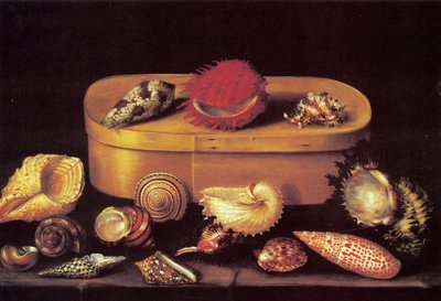Still Life with Shells by Jacques Linard