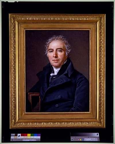 Portrait of D.V. Ramel de Nogaret by Jacques Louis David