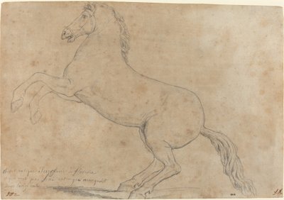 An Antique Sculpture of a Horse by Jacques Louis David