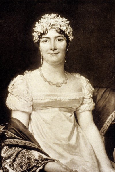 Countess Alexandrine Daru, the Wife of Pierre Daru by Jacques Louis David