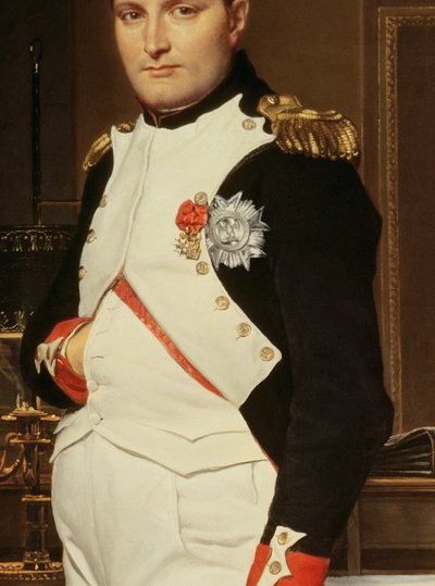 The Emperor Napoleon in His Study at the Tuileries (detail) by Jacques Louis David