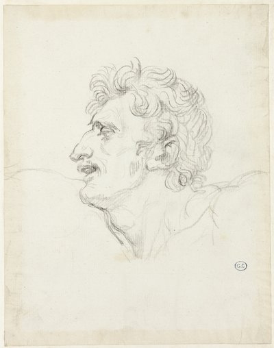 Head of a Man, Left Profile by Jacques Louis David