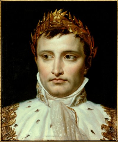 Portrait of Emperor Napoleon I by Jacques Louis David