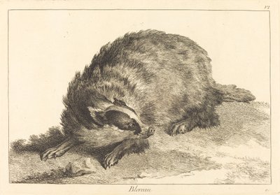 Badger by Jacques Philippe Le Bas and Jean Eric Rehn after Jean Baptiste Oudry