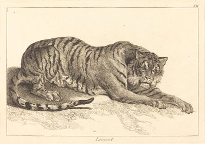 Leopard or Tiger by Jacques Philippe Le Bas and Jean Eric Rehn after Jean Baptiste Oudry