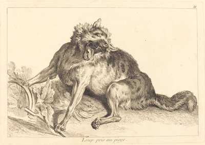 Wolf Caught in a Trap by Jacques Philippe Le Bas and Jean Eric Rehn after Jean Baptiste Oudry