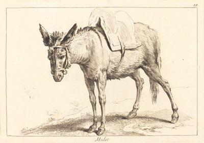 Mule or Saddled Donkey by Jacques Philippe Le Bas and Jean Eric Rehn after Jean Baptiste Oudry