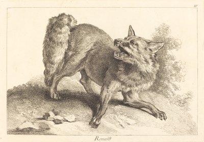 Fox by Jacques Philippe Le Bas and Jean Eric Rehn after Jean Baptiste Oudry