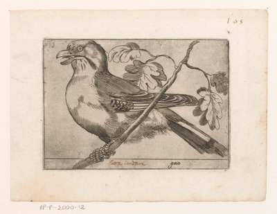 Jay (Birds) by Jacques de Fornazeris (possibly)