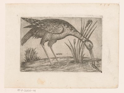 Bird by Jacques de Fornazeris (possibly)