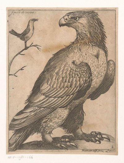 Eagle Aquila de Corona (title on object) Nine Birds (series title) by Jacques de Fornazeris