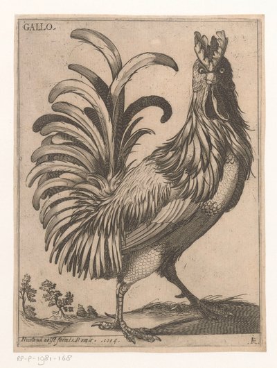 Rooster (title on object) Nine Birds (series title) by Jacques de Fornazeris