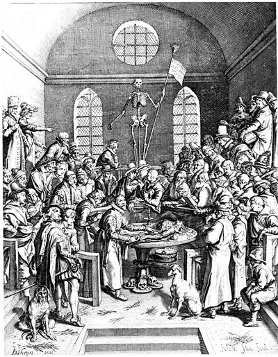 Late 16th Century Anatomy Theatre, Jacques de Gehyn the Elder, 1633 by Jacques de Gehyn the Elder