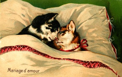 A Wedding Full of Love by Jaime Abecasis