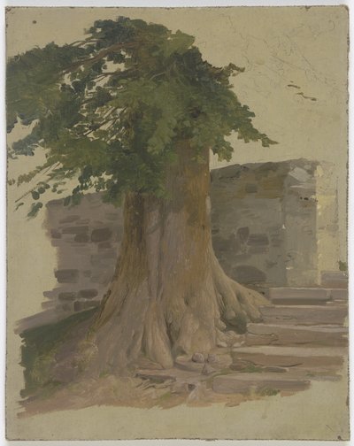 Old Tree by a Wall by Jakob Becker