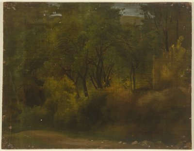 Inside a Forest by Jakob Becker