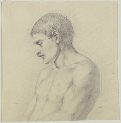 Male Half-Nude in Profile to the Left by Jakob Becker