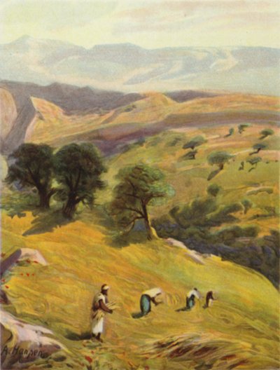 Between Jerusalem and Jericho by James (after) Clark
