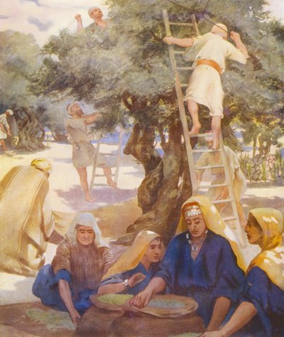 Holy Land: An Olive Yard by James (after) Clark