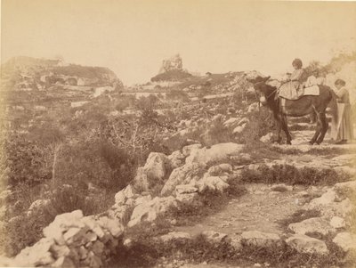 Capri [Child on Mule] by James Anderson